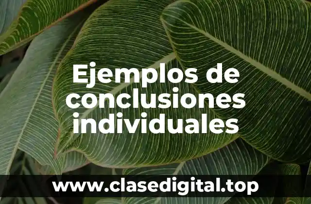 Ejemplos de conclusiones individuales