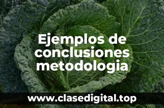 Ejemplos de conclusiones metodologia
