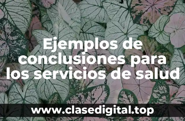 Ejemplos de conclusiones para los servicios de salud