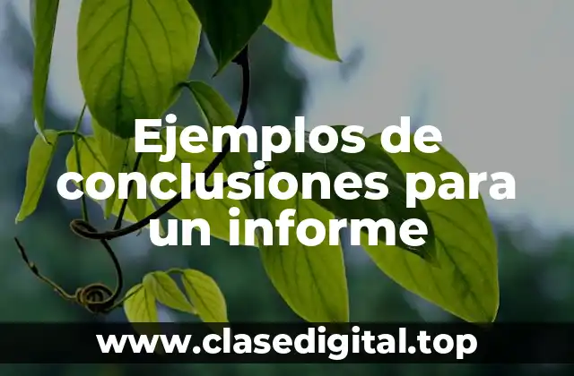 Ejemplos de conclusiones para un informe