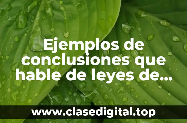 Ejemplos de conclusiones que hable de leyes de comercio exterior