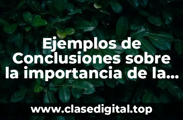 Ejemplos de Conclusiones sobre la importancia de la sociedad