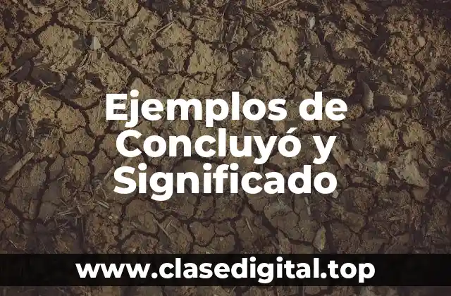 Ejemplos de Concluyó y Significado