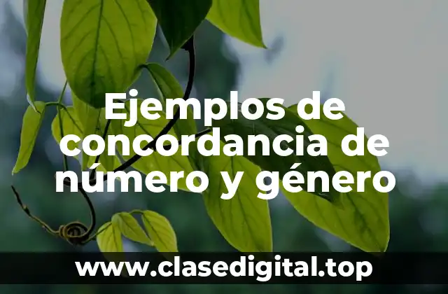 Ejemplos de concordancia de número y género