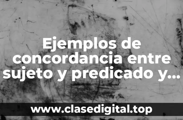 Ejemplos de concordancia entre sujeto y predicado y Significado