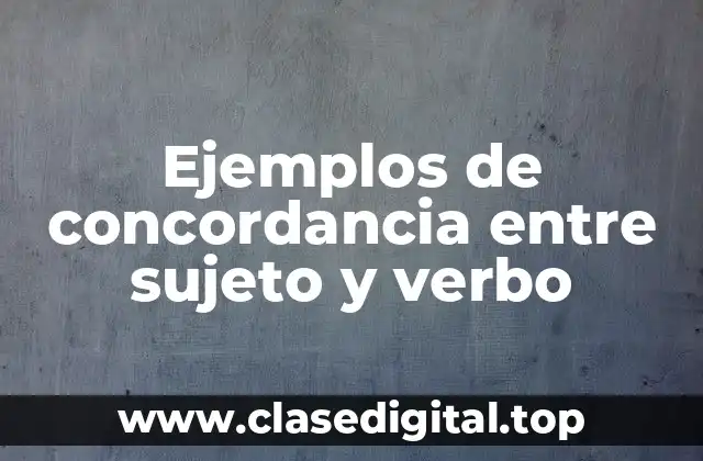 Ejemplos de concordancia entre sujeto y verbo