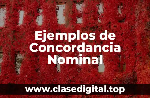 Ejemplos de Concordancia Nominal