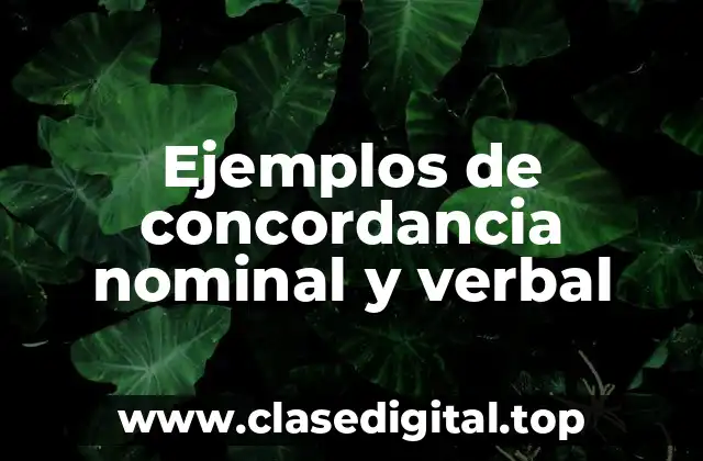 Ejemplos de concordancia nominal y verbal