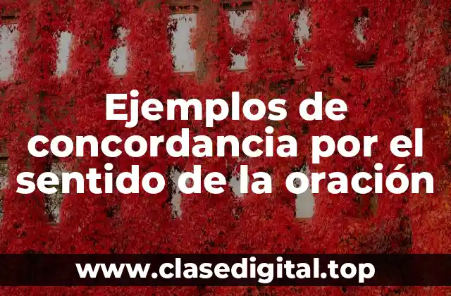 Ejemplos de concordancia por el sentido de la oración