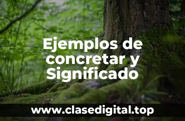 Ejemplos de concretar y Significado