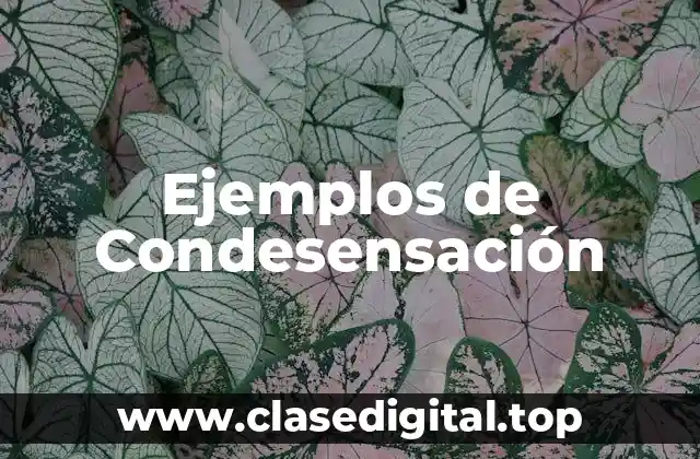 Ejemplos de condesensación