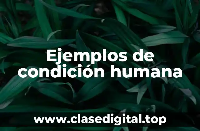 Ejemplos de condición humana