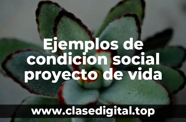 Ejemplos de condicion social proyecto de vida