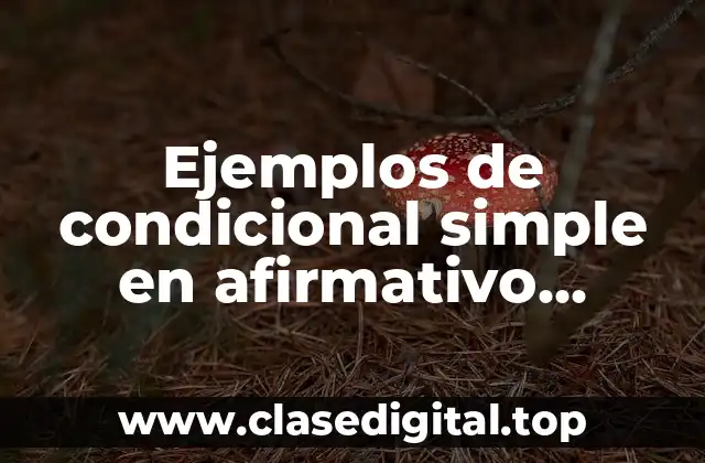 Ejemplos de condicional simple en afirmativo