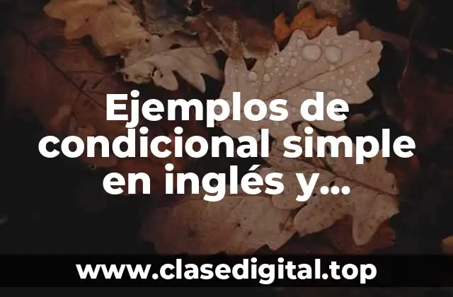 Ejemplos de condicional simple en inglés y Significado