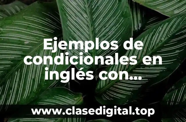 Ejemplos de condicionales en inglés con soluciones