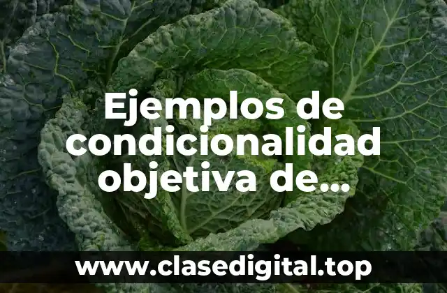 Ejemplos de condicionalidad objetiva de punivilleda