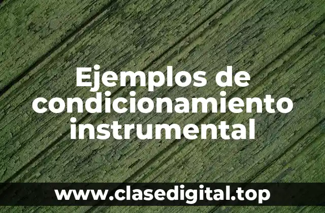 Ejemplos de condicionamiento instrumental