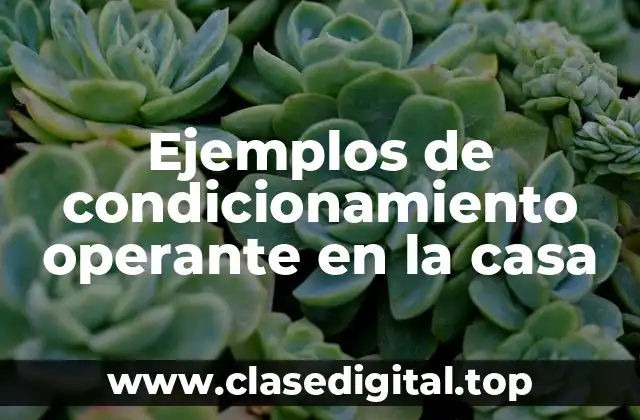 Ejemplos de condicionamiento operante en la casa