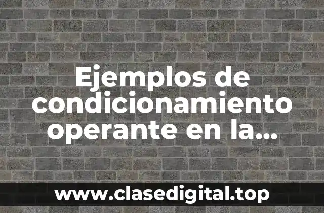 Ejemplos de condicionamiento operante en la familia