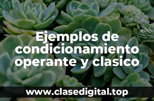 Ejemplos de condicionamiento operante