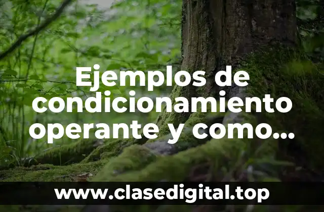 Ejemplos de condicionamiento operante y como funciona