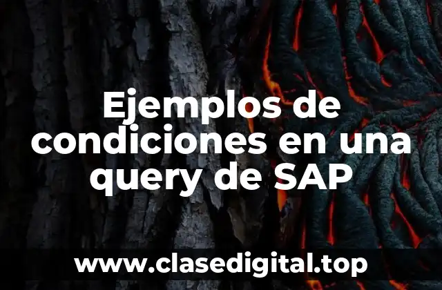 Ejemplos de condiciones en una query de SAP