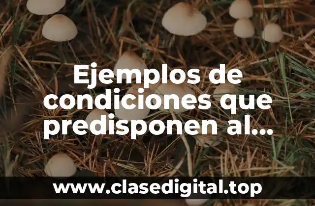 Ejemplos de condiciones que predisponen al conflicto