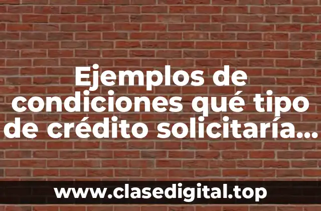 Ejemplos de condiciones qué tipo de crédito solicitaría una empresa