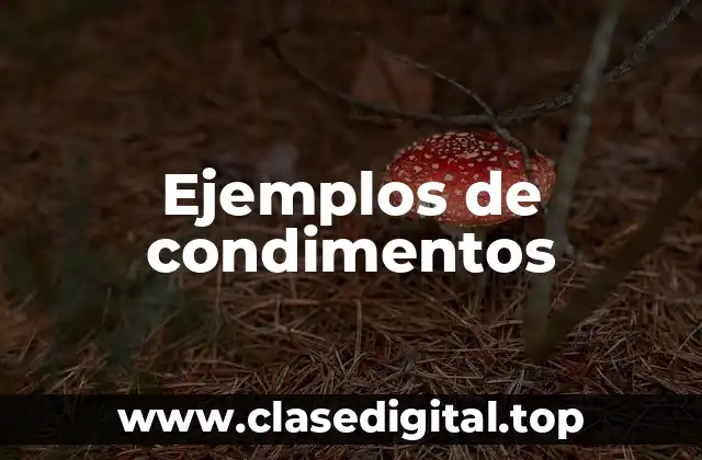 Ejemplos de condimentos