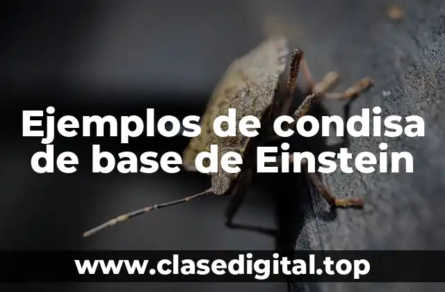 Ejemplos de condisa de base de Einstein