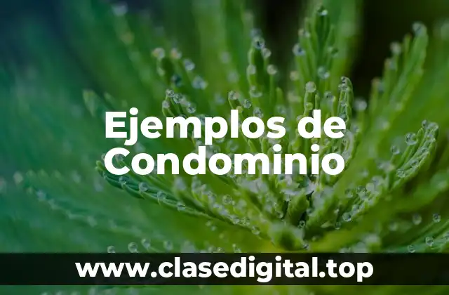Ejemplos de Condominio