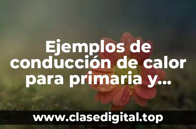 Ejemplos de conducción de calor para primaria y Significado