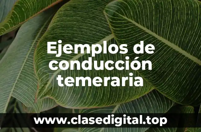 Ejemplos de conducción temeraria