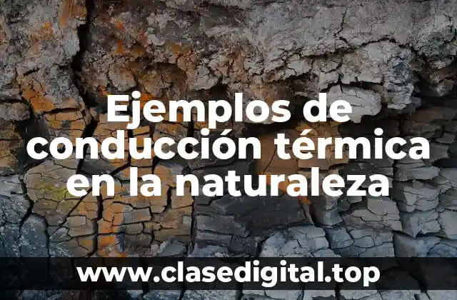 Ejemplos de conducción térmica en la naturaleza