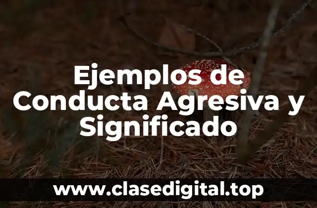 Ejemplos de Conducta Agresiva y Significado
