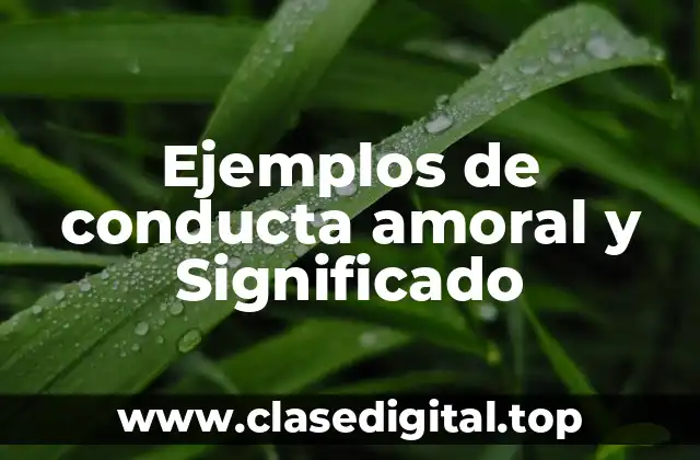 Ejemplos de conducta amoral y Significado