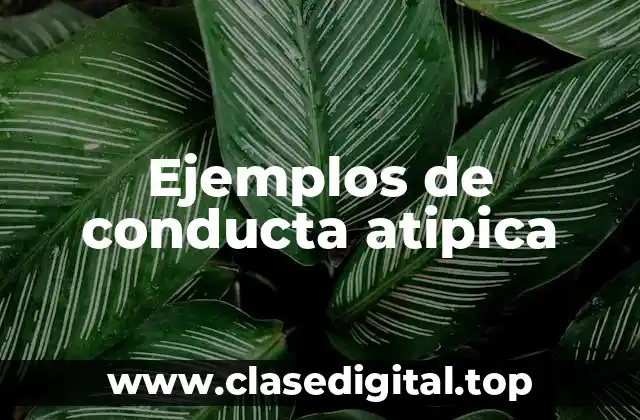 Ejemplos de conducta atipica