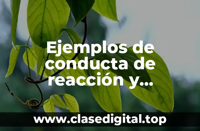 Ejemplos de conducta de reacción y participación