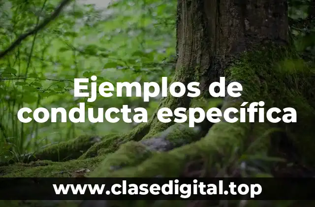Ejemplos de conducta específica