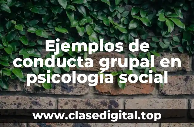 Ejemplos de conducta grupal en psicología social