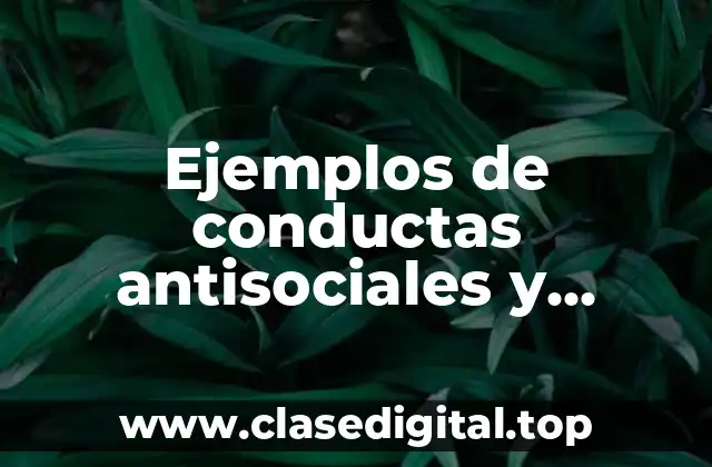 Ejemplos de conductas antisociales y delictivas
