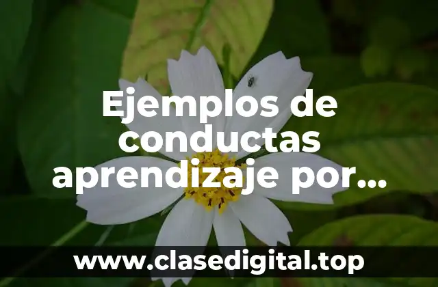 Ejemplos de conductas aprendizaje por imitación u observación