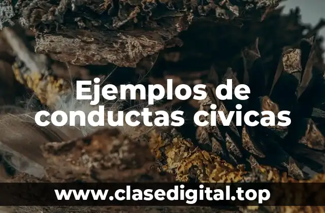 Ejemplos de conductas civicas
