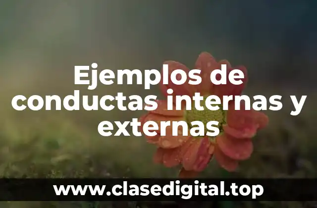 Ejemplos de conductas internas y externas