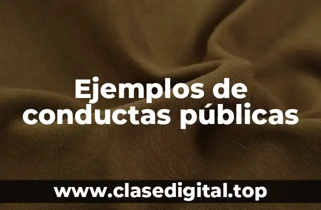 Ejemplos de conductas públicas