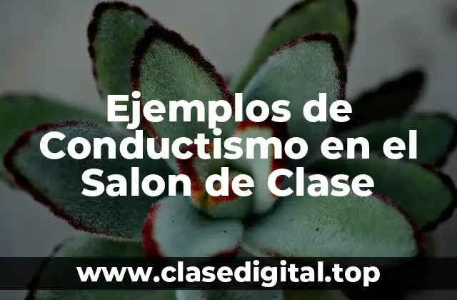 Ejemplos de Conductismo en el Salon de Clase
