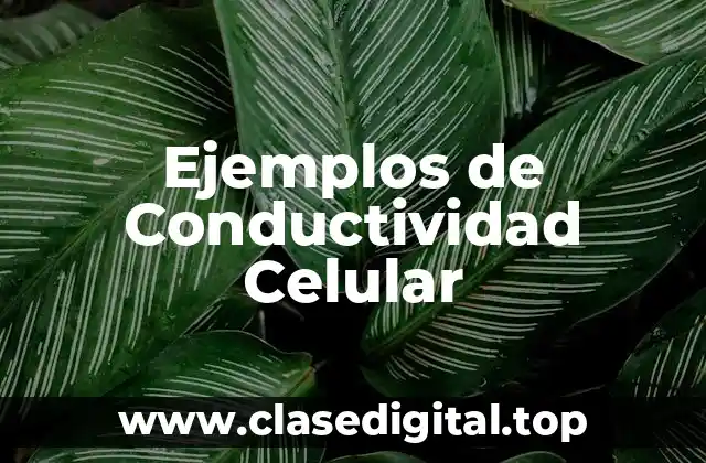 Ejemplos de Conductividad Celular