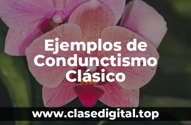 Ejemplos de Condunctismo Clásico