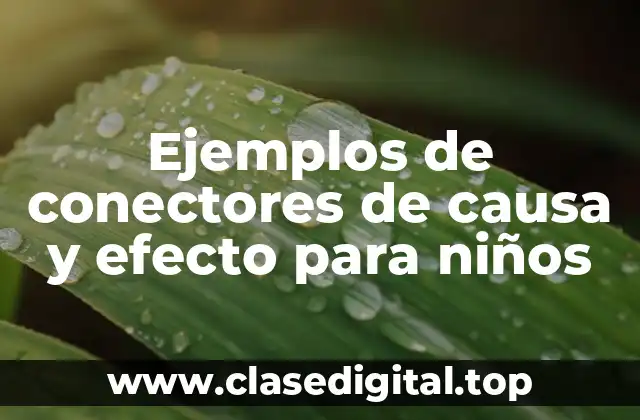 Ejemplos de conectores de causa y efecto
